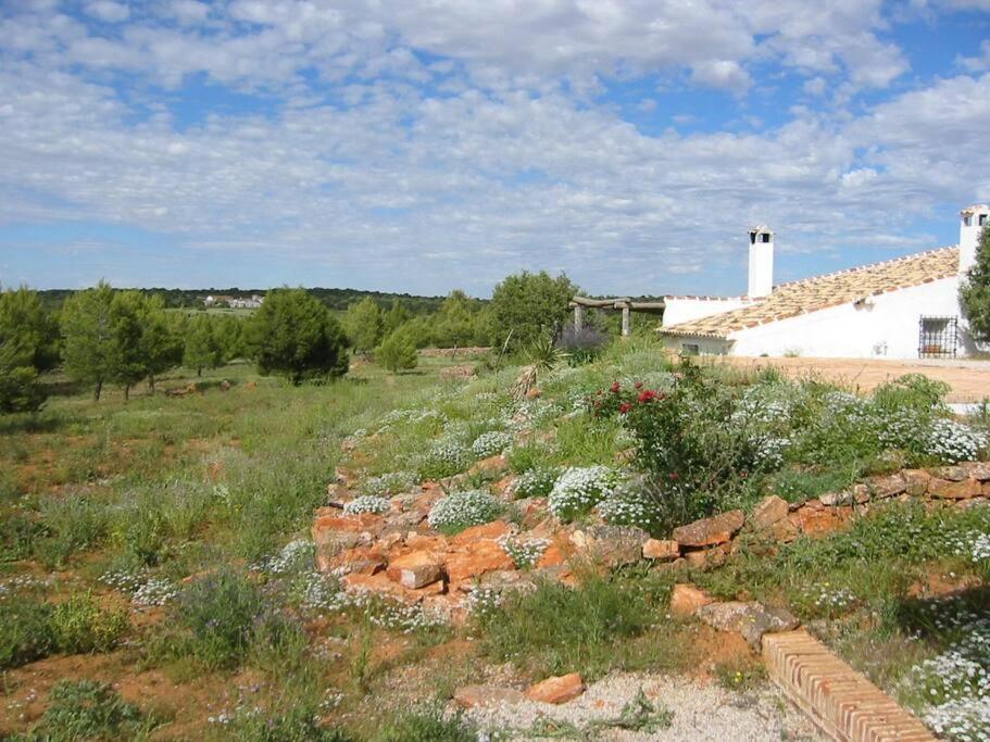 Gran Casa, Lagunas De Ruidera, Bbq, Porche, Chimenea Екстериор снимка
