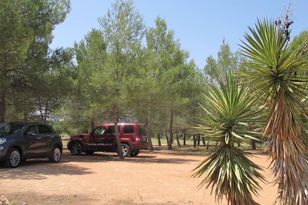 Gran Casa, Lagunas De Ruidera, Bbq, Porche, Chimenea Екстериор снимка