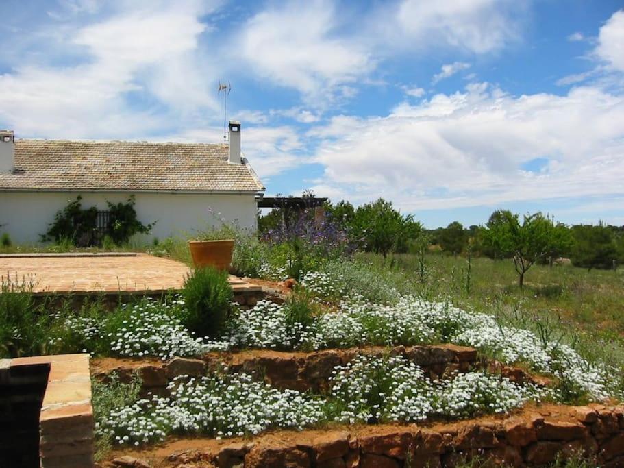 Gran Casa, Lagunas De Ruidera, Bbq, Porche, Chimenea Екстериор снимка