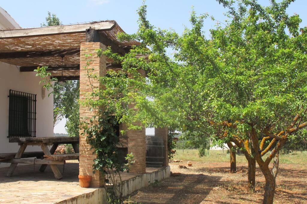 Gran Casa, Lagunas De Ruidera, Bbq, Porche, Chimenea Екстериор снимка
